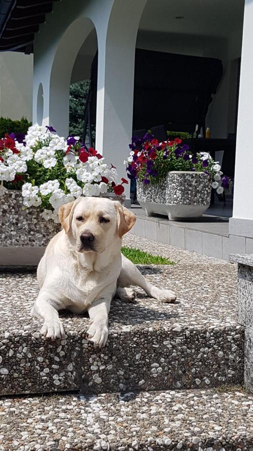 Casa Manuela Tra Bellinzona Locarno E Lugano Lägenhet Cadenazzo Exteriör bild